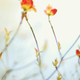 Illustration for article titled 264 Stupendous Spring Wallpapers